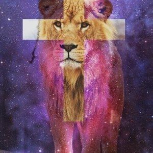 Meet your Posher, Peggy